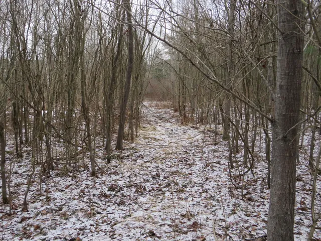 $79,000 | Jefferson Road, Morley, MI 49336