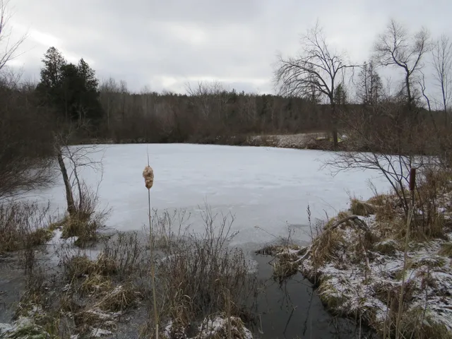 $79,000 | Jefferson Road, Morley, MI 49336