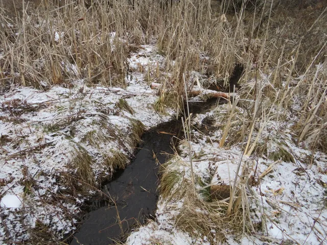 $79,000 | Jefferson Road, Morley, MI 49336