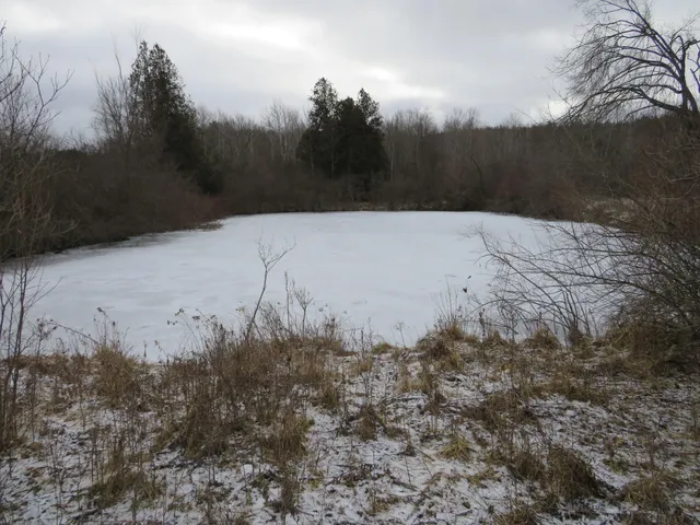 $79,000 | Jefferson Road, Morley, MI 49336