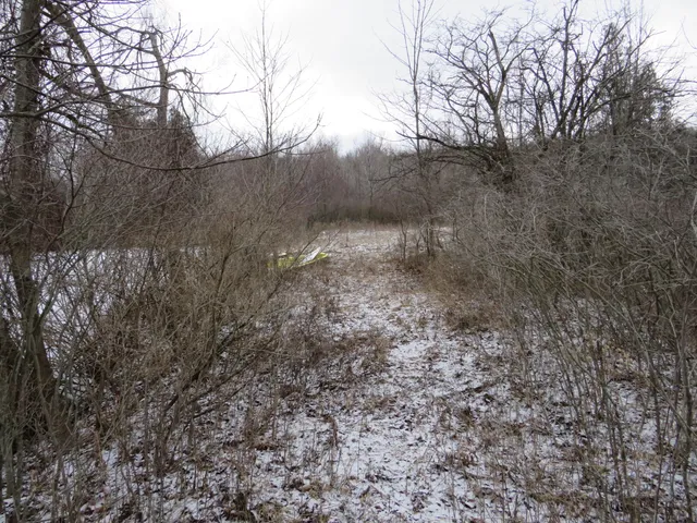 $79,000 | Jefferson Road, Morley, MI 49336