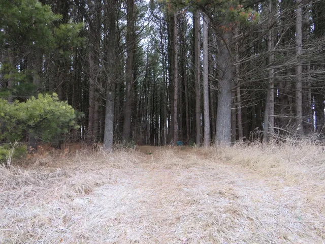 $79,000 | Jefferson Road, Morley, MI 49336