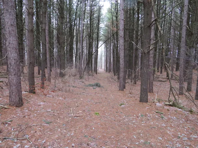 $79,000 | Jefferson Road, Morley, MI 49336