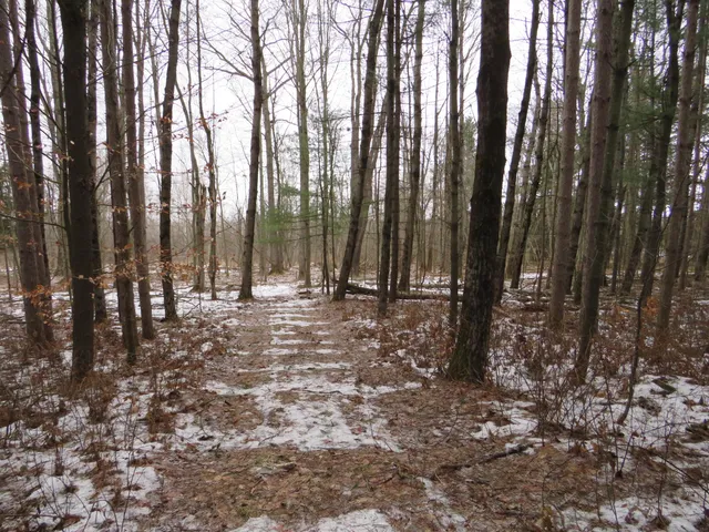 $79,000 | Jefferson Road, Morley, MI 49336