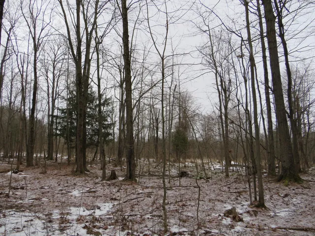 $79,000 | Jefferson Road, Morley, MI 49336