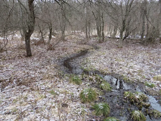 $79,000 | Jefferson Road, Morley, MI 49336