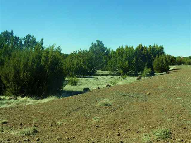Tbd Tbd Elk Shadows Vernon, AZ 85940 - Photo 2 of 12