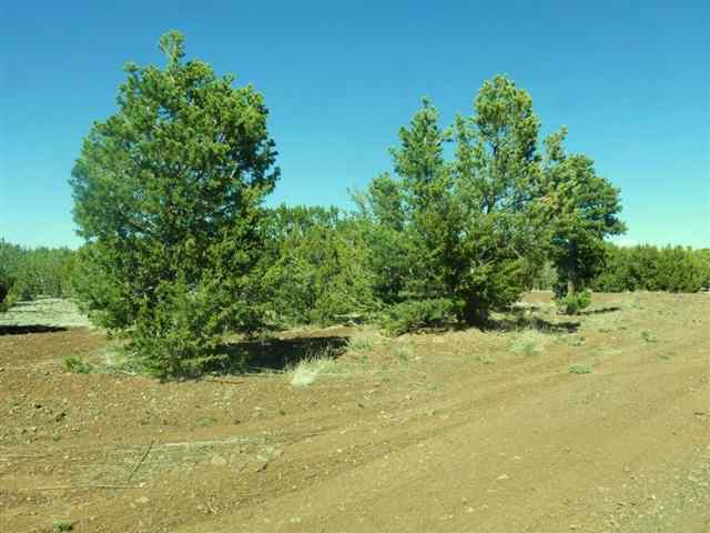 Tbd Tbd Elk Shadows Vernon, AZ 85940 - Photo 3 of 12