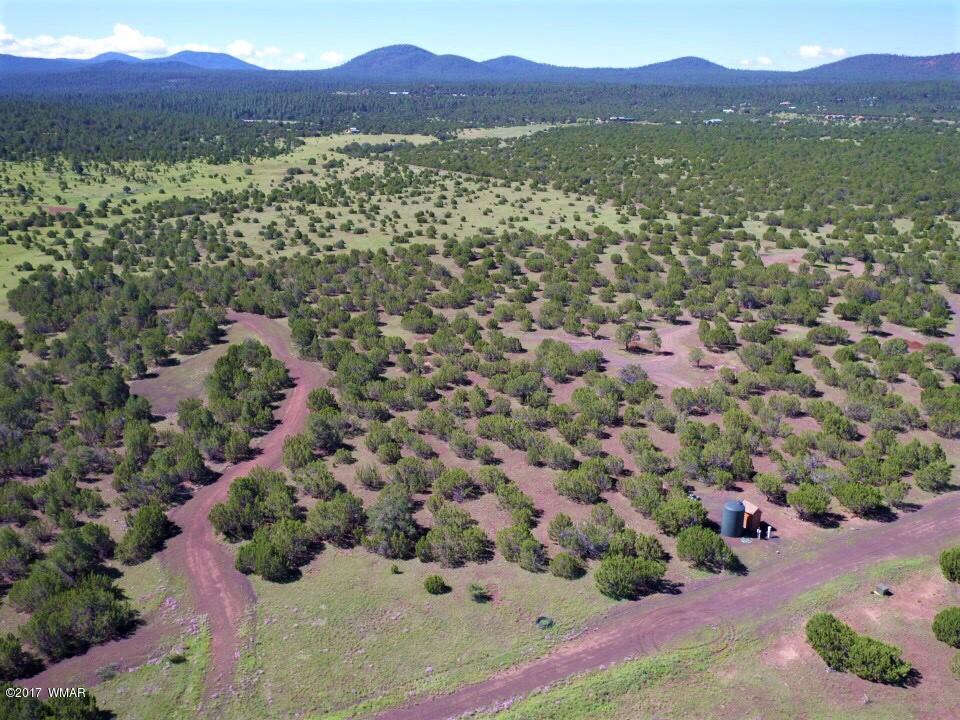 Tbd Tbd Elk Shadows Vernon, AZ 85940 - Photo 5 of 12