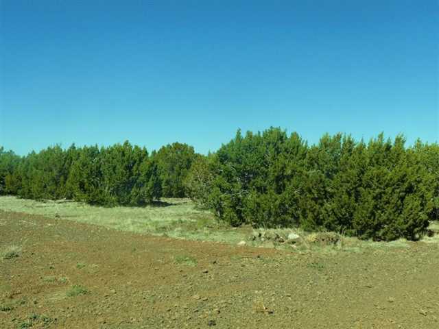 Tbd Tbd Elk Shadows Vernon, AZ 85940 - Photo 6 of 12