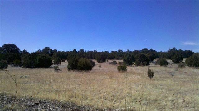 Tbd Tbd Elk Shadows Vernon, AZ 85940 - Photo 10 of 12