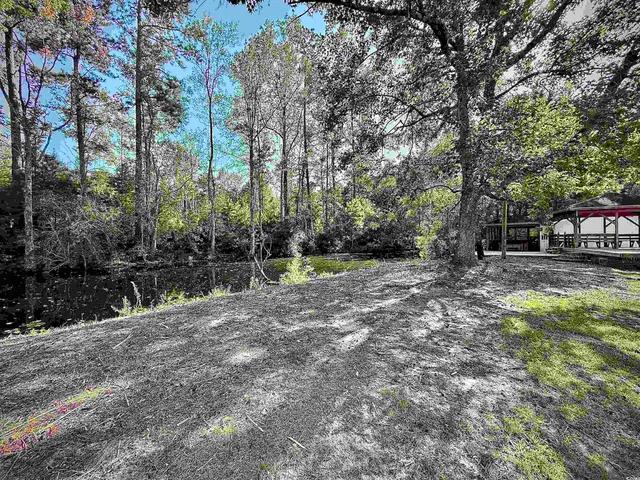 $379,900 | 1150 Cbi Road, Loris, SC 29569