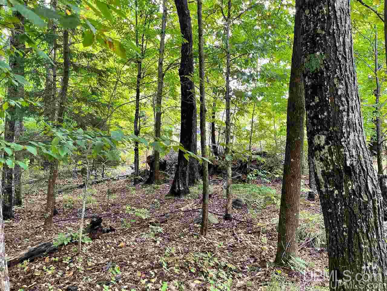 124 Kaski Road Crystal Falls, MI 49920 - Photo 42 of 50 Gallery Image 42