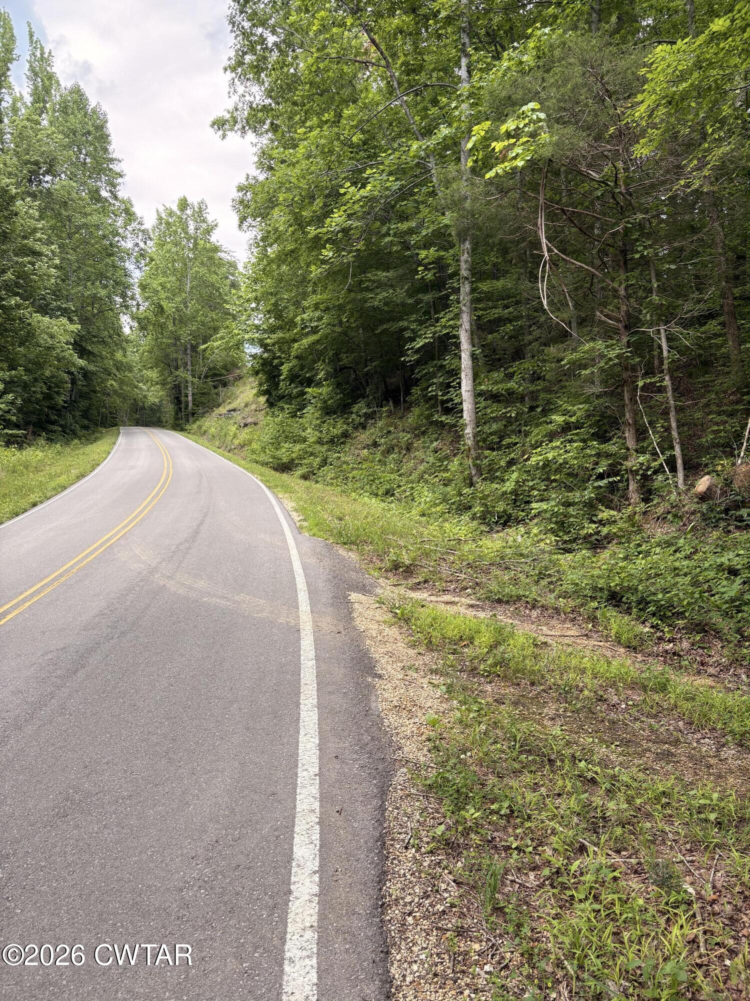 0 Woods Fork Road Linden, TN 37096 - Photo 12 of 12 a view of a backyard