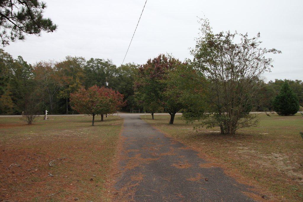1554 Keys Pond Road Ridge Spring, SC 29129 - Photo 3 of 42