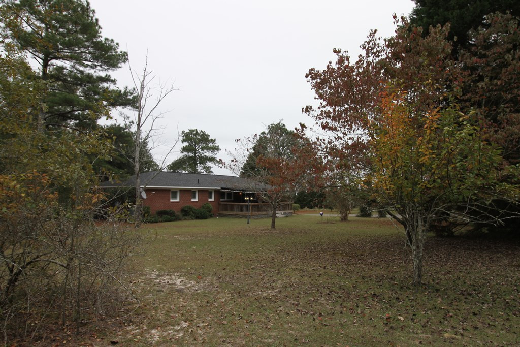 1554 Keys Pond Road Ridge Spring, SC 29129 - Photo 5 of 42