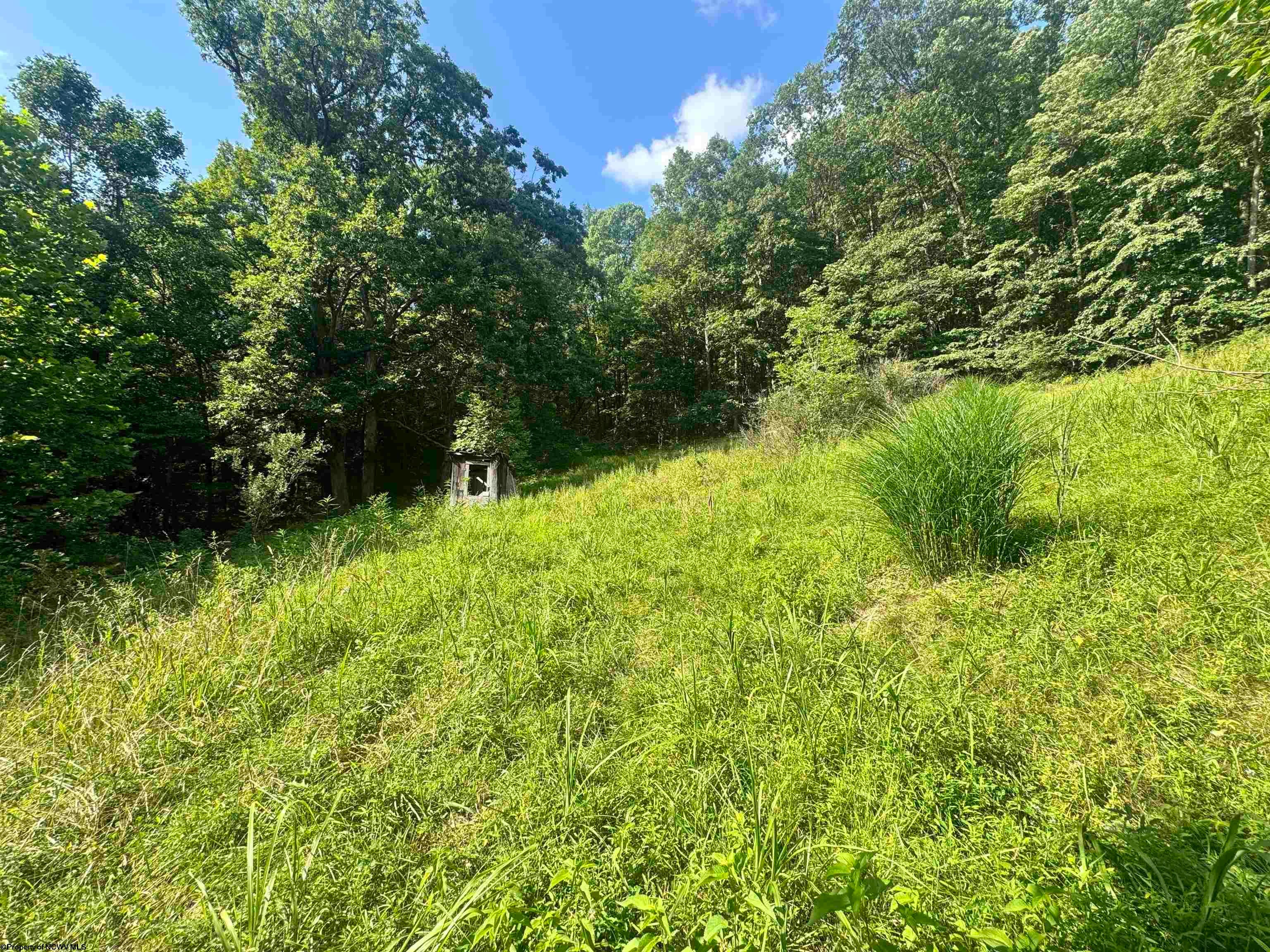 116 Wilson Road Grafton, WV 26354 - Photo 2 of 14 Gallery Image 2