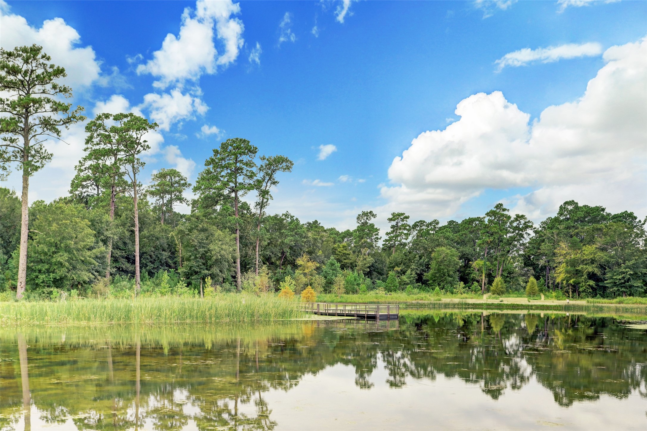 5202 Rose Street, Unit B Houston, TX 77007 - Photo 38 of 40 This serene landscape features a peaceful pond surrounded by lush greenery and tall trees, offering a tranquil and natural setting. The clear blue sky with fluffy clouds adds to the picturesque view, making it an ideal spot for relaxation and enjoying nature.