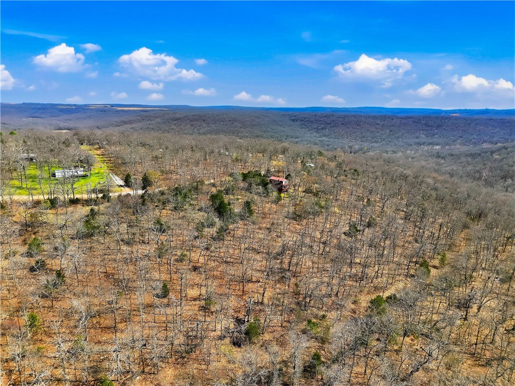 95398 South 4556 Road Vian, OK 74962 - Photo 50 of 60 Gallery Image 50