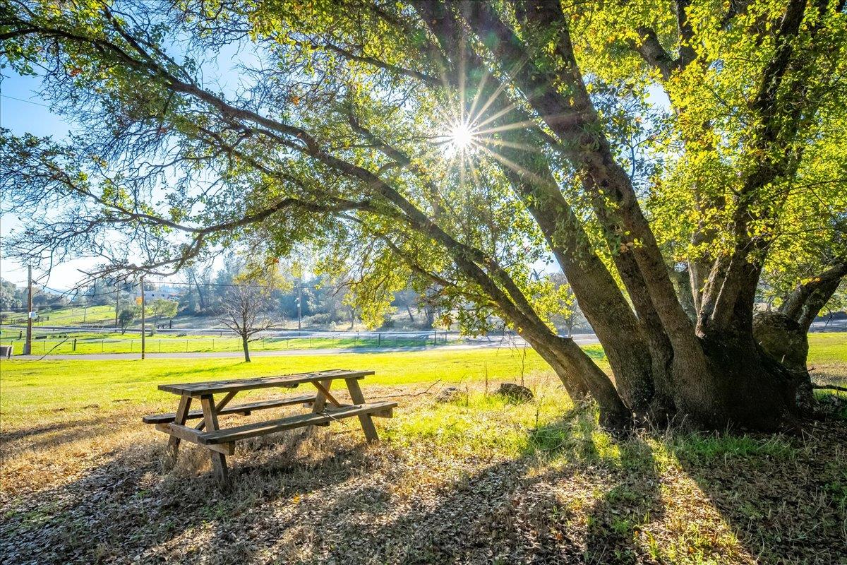 4371 Luneman Road Placerville, CA 95667 - Photo 62 of 77 a view of an swimming pool with a table and chairs under an umbrella