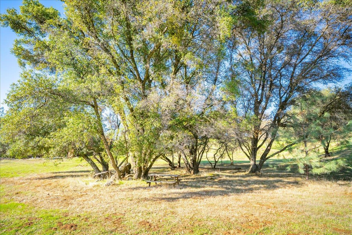 4371 Luneman Road Placerville, CA 95667 - Photo 63 of 77