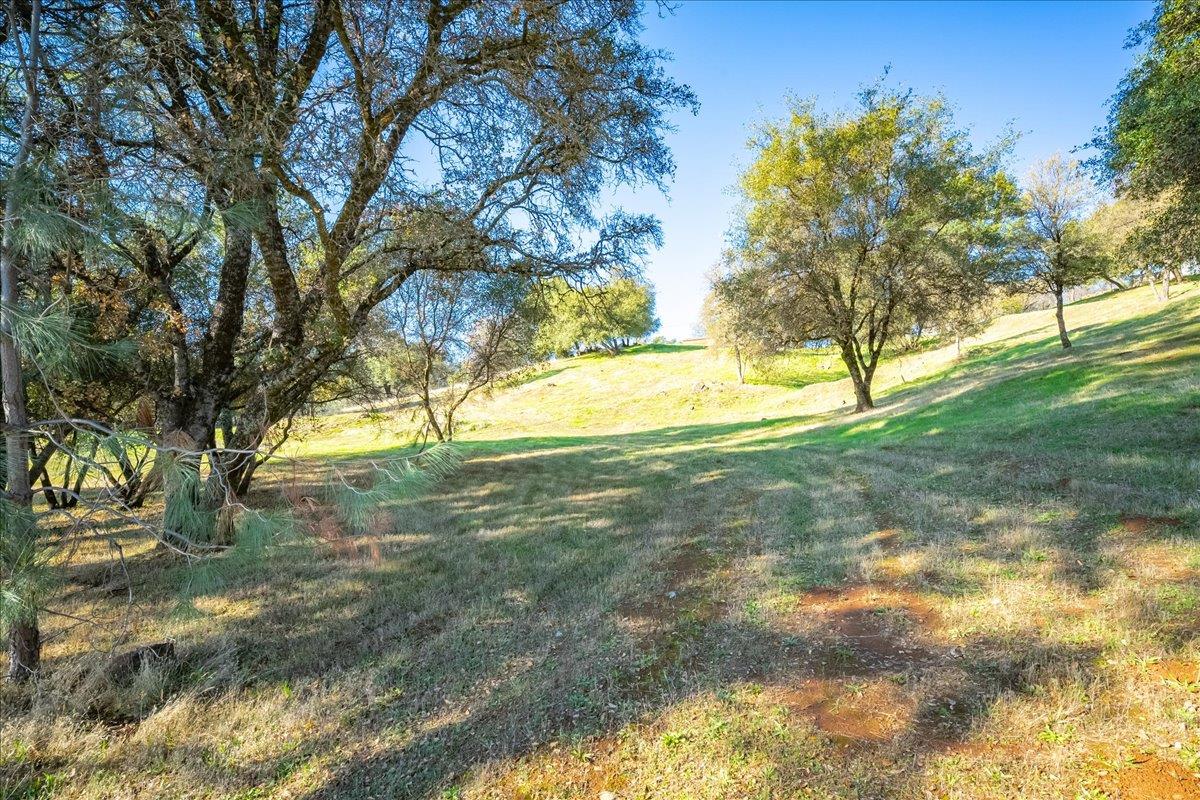 4371 Luneman Road Placerville, CA 95667 - Photo 64 of 77 a view of yard