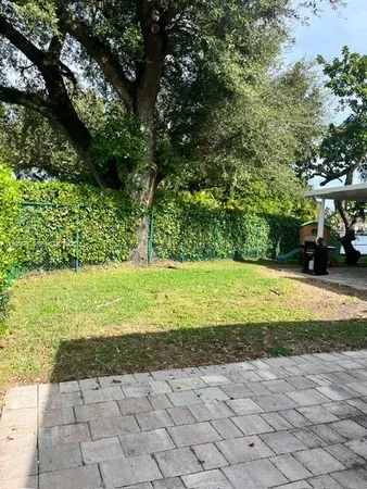 a view of a yard with plants