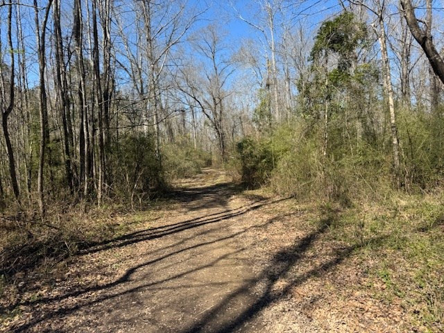 16 Robey Jefferson Road Jayess, MS 39641 - Photo 29 of 36 Photo 29