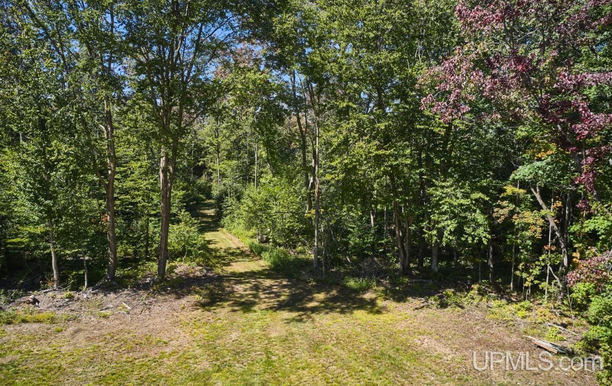 454 Creighton Trail Road Shingleton, MI 49884 - Photo 11 of 26