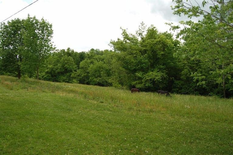 315 Wells Road Mount Sterling, KY 40353 - Photo 9 of 59 Photo 9