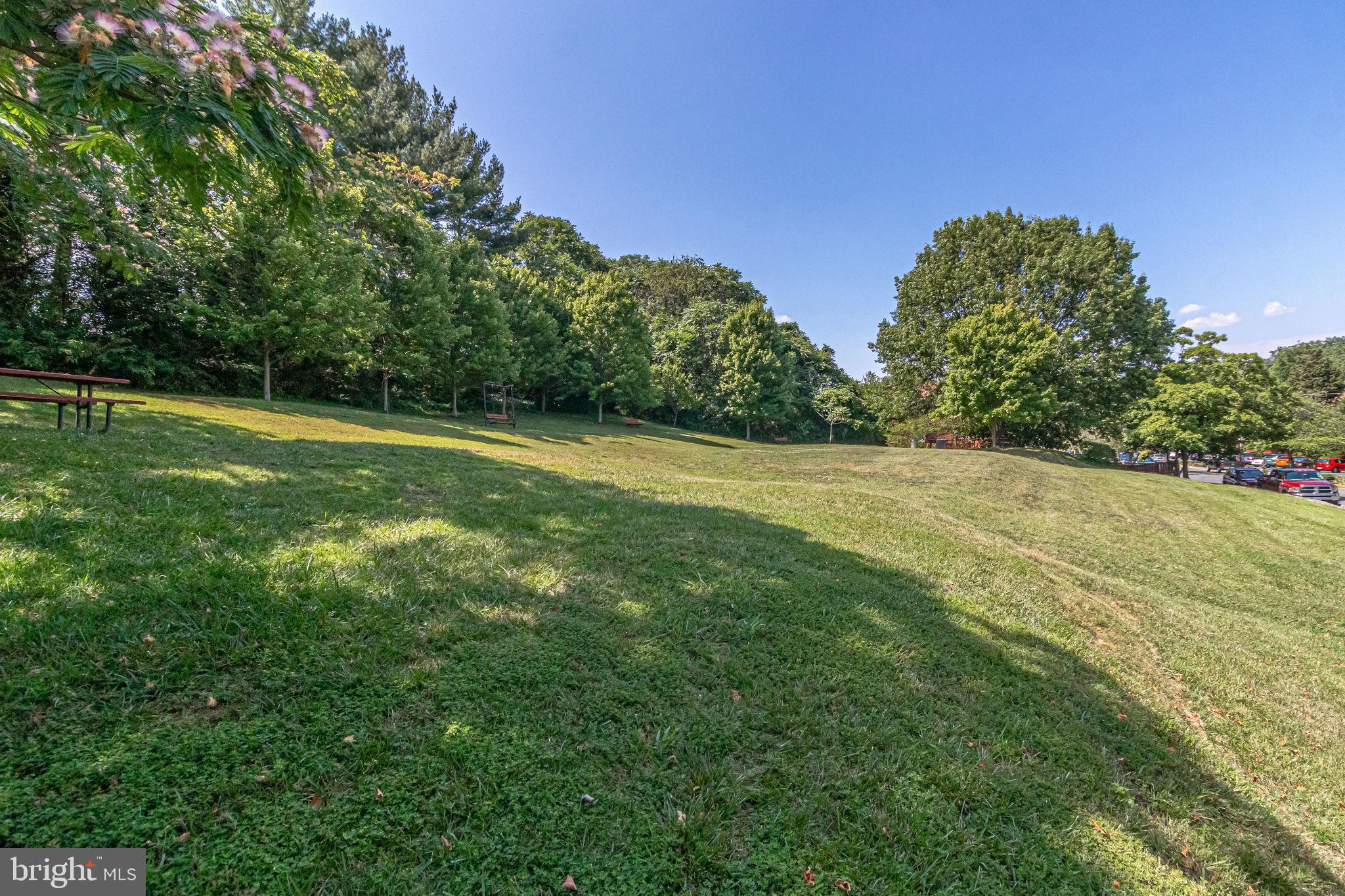55 Skyhill Road, Unit 204 Alexandria, VA 22314 - Photo 21 of 21