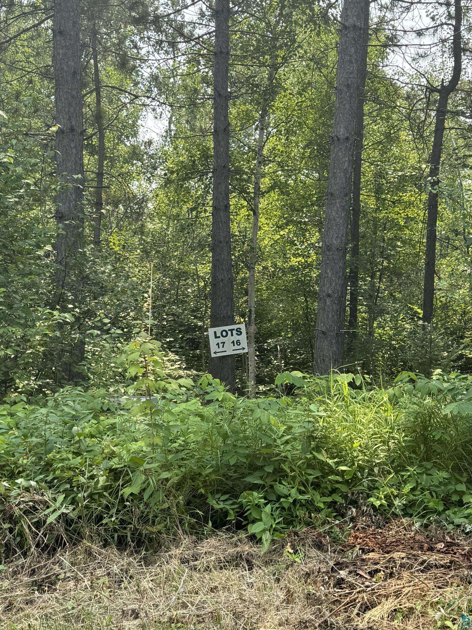 Xx Xx High Ridge Drive Silver Bay, MN 55614 - Photo 22 of 29