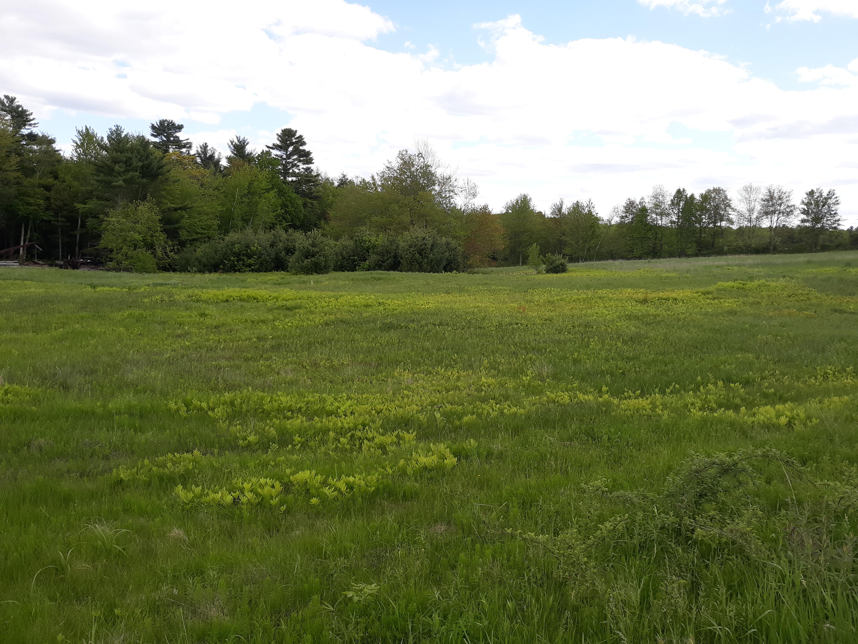 2478 Hallowell Road Litchfield, ME 04350 - Photo 17 of 21 20190604_154941