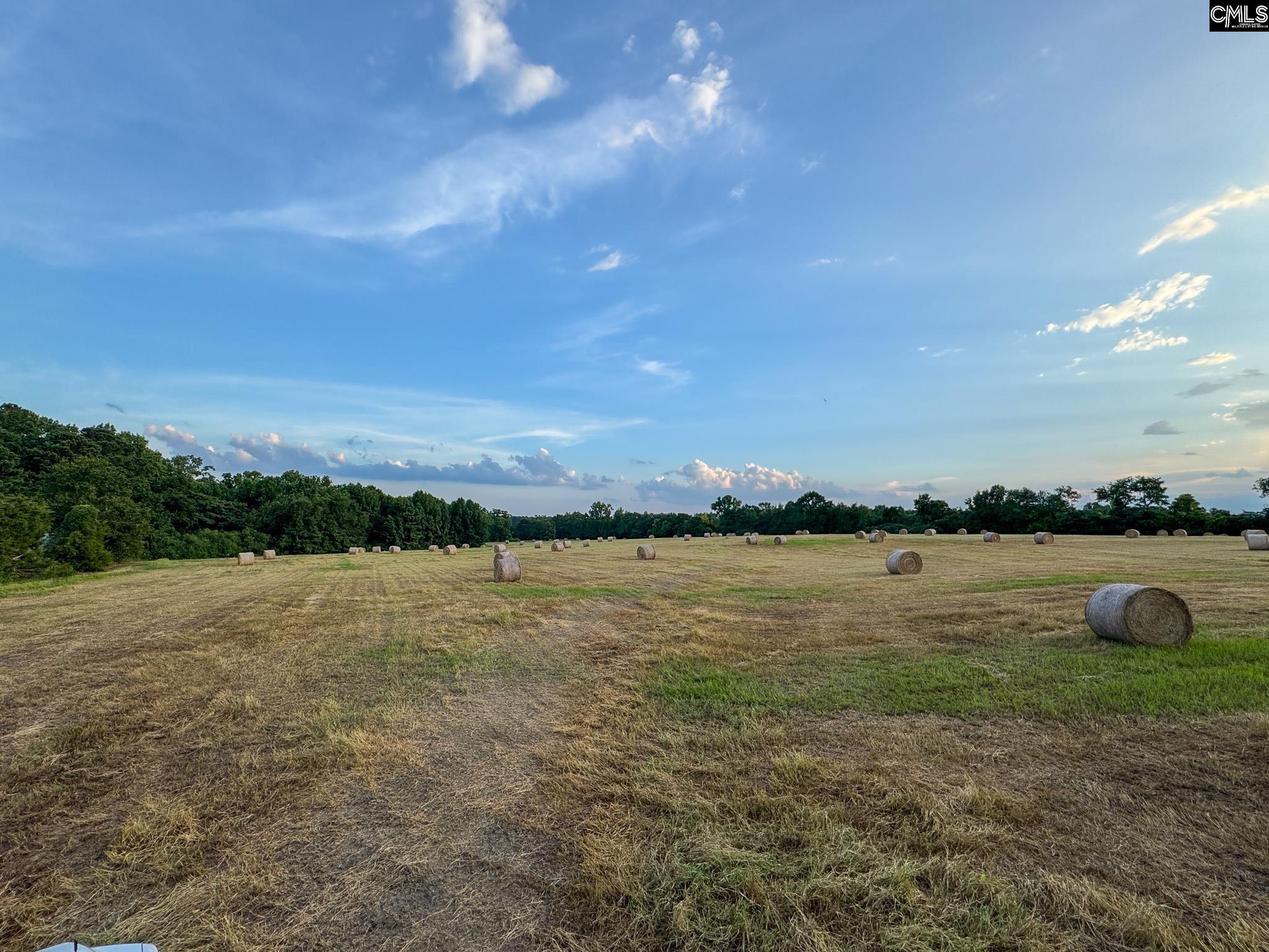 0 Shealy Road, Unit LOT 7 Batesburg, SC 29006 - Photo 13 of 15