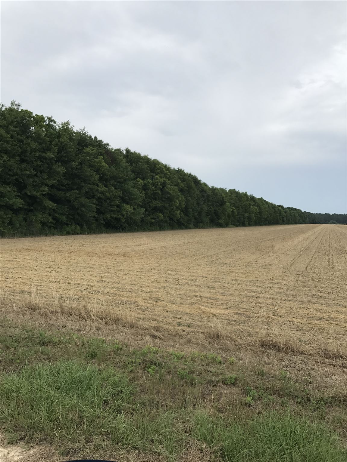 Cc Road Elberta, AL 36530 - Photo 12 of 12