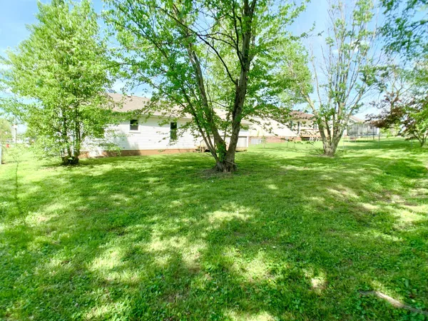 a view of a house with a big yard and a large tree