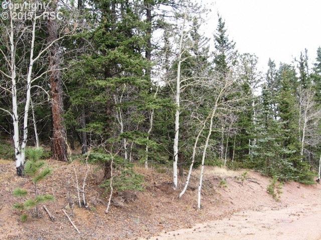 958 Kutsu Ridge Road Florissant, CO 80816 - Photo 10 of 11 Gallery Image 10