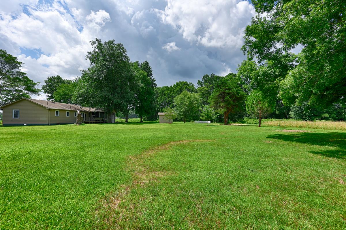 189 You Take It Road Ardmore, TN 38449 - Photo 8 of 26 View from Side Yard