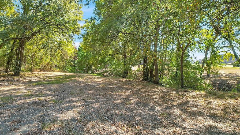 133 Falcon Point Drive Heath, TX 75032 - Photo 5 of 11 a view of outdoor space with trees all around