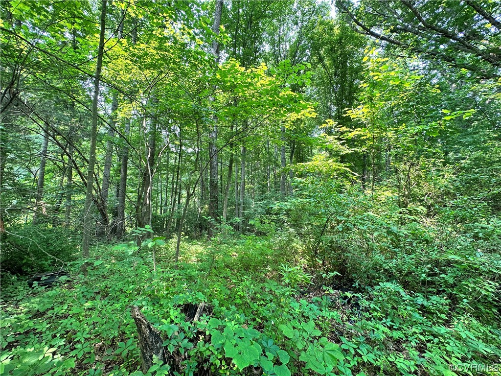 0 Mountain View Road Powhatan, VA 23139 - Photo 1 of 1 Gallery Image 1