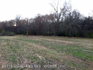 Crestview Road Cordova, AL 35550 - Photo 9 of 15 Gallery Image 9