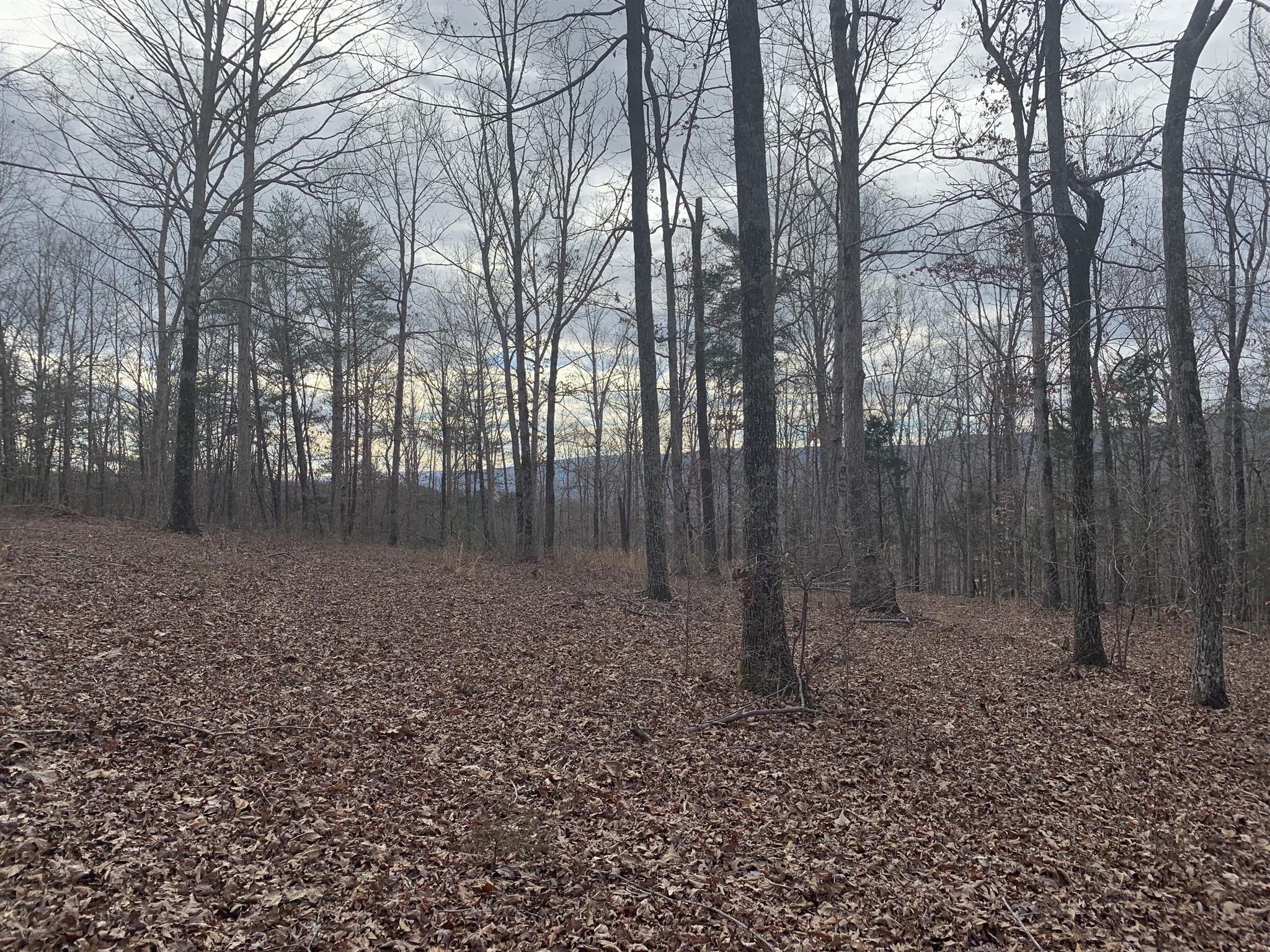 0 Herman Smith Road Pikeville, TN 37367 - Photo 1 of 4 Gallery Image 1