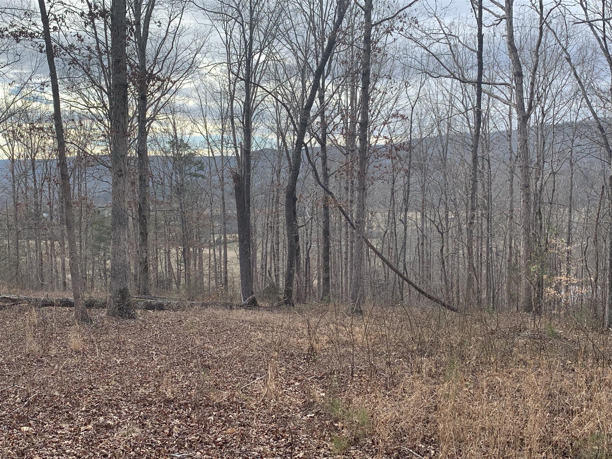 0 Herman Smith Road Pikeville, TN 37367 - Photo 2 of 4 Gallery Image 2