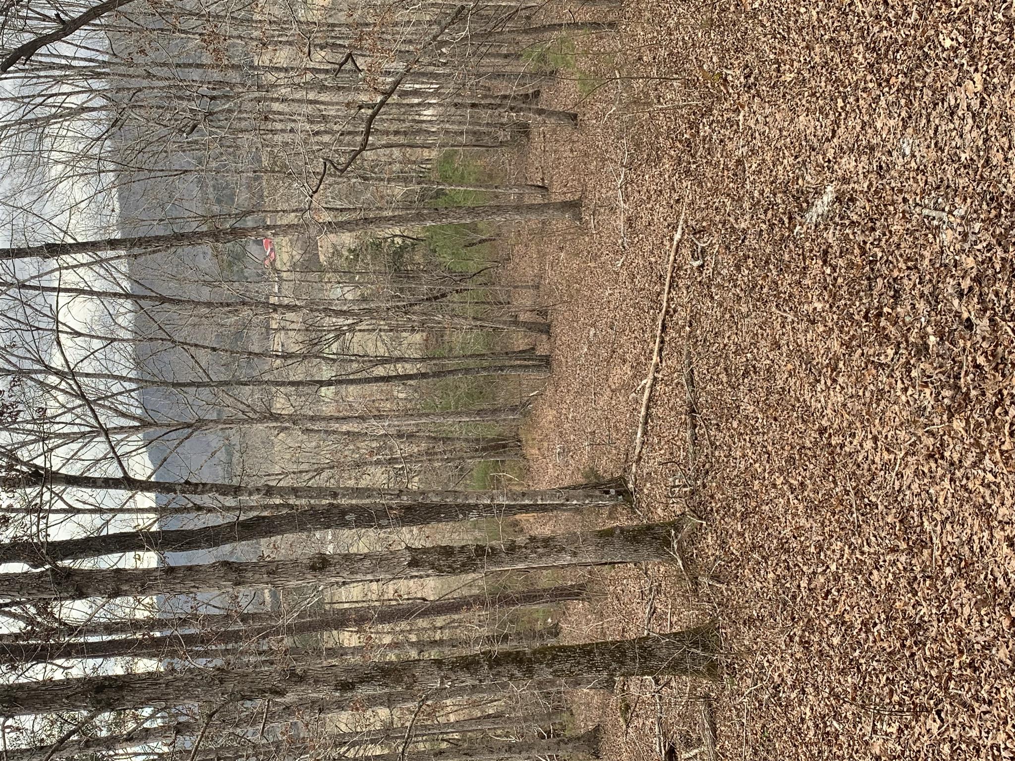 0 Herman Smith Road Pikeville, TN 37367 - Photo 3 of 4 Gallery Image 3