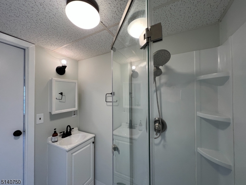 193 Forest Street, Unit 1 Montclair, NJ 07042 - Photo 14 of 20 a bathroom with a sink mirror and shower