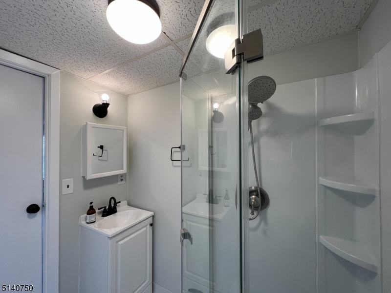 193 Forest Street, Unit 1 Montclair, NJ 07042 - Photo 15 of 20 a bathroom with a sink mirror and shower