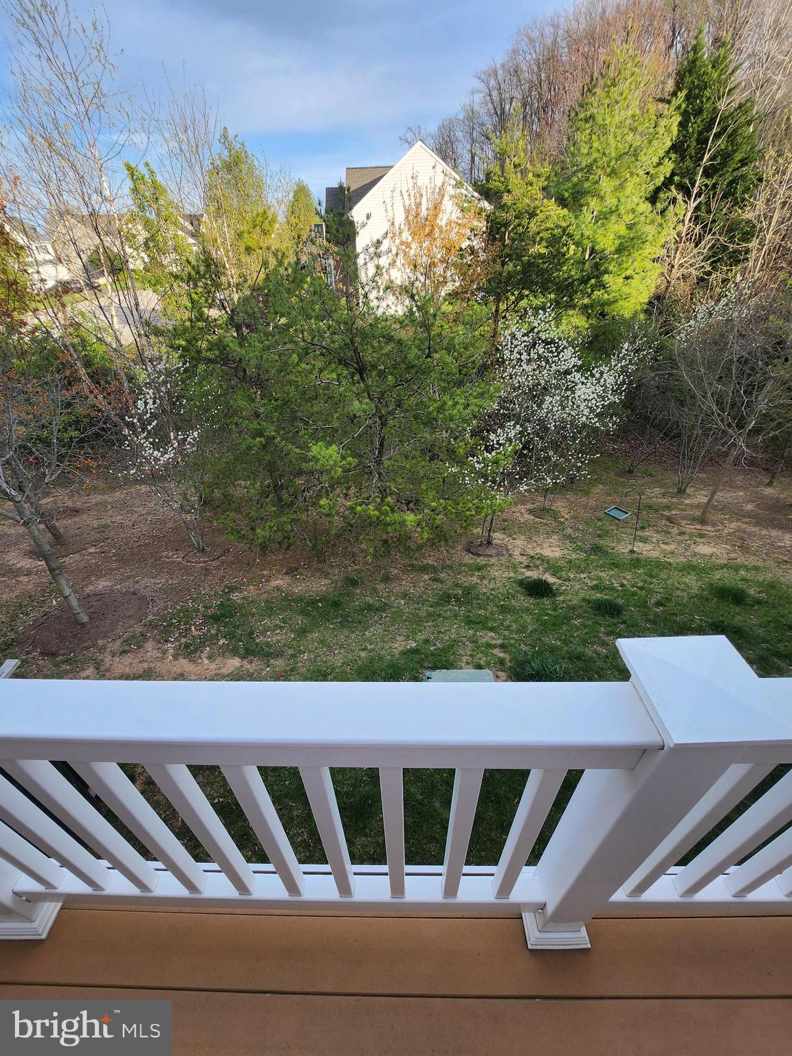 17027 Gibson Mill Road Dumfries, VA 22026 - Photo 42 of 57 Backyard view
