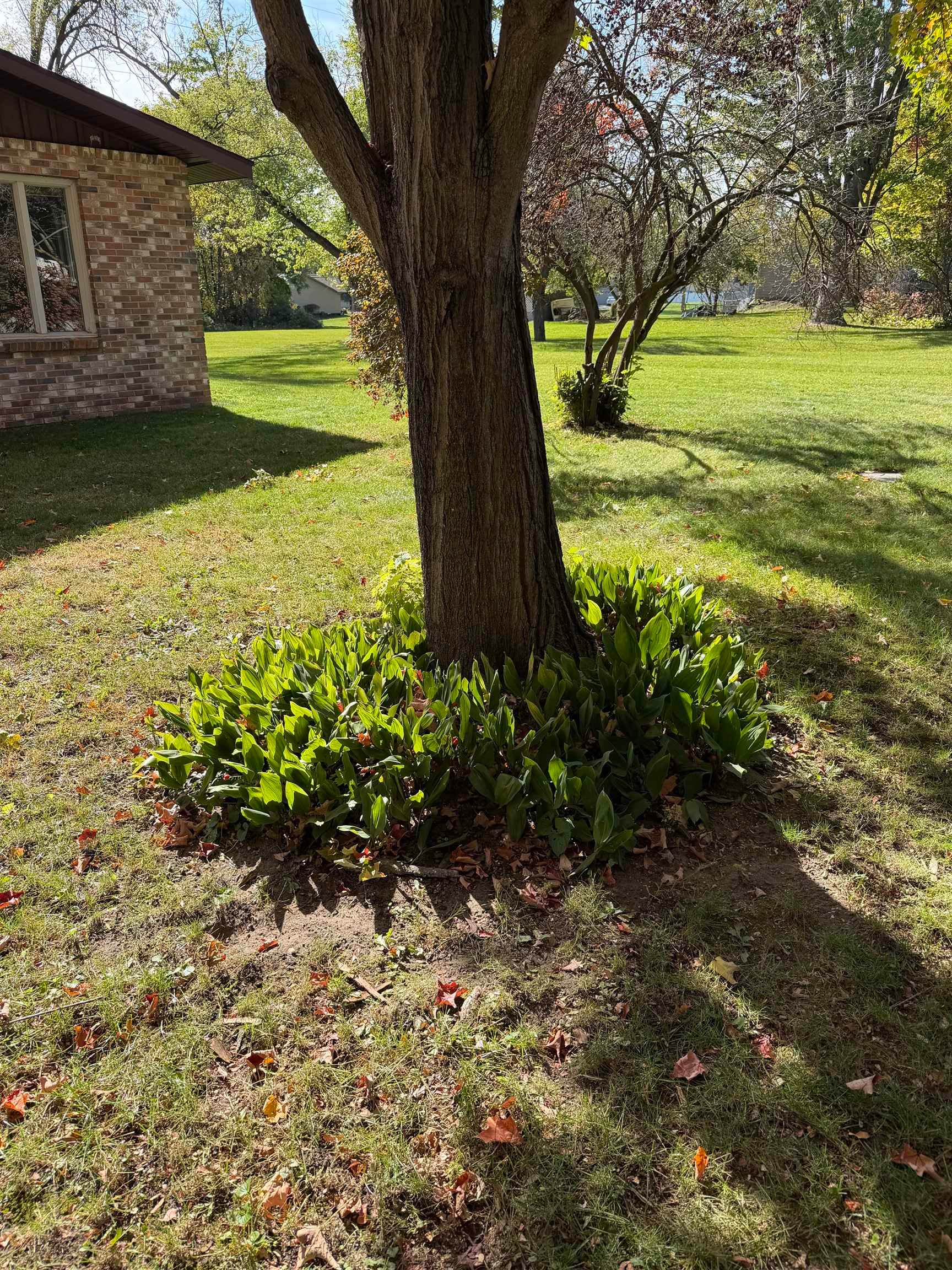 623 Mill Street Alma, MI 48801 - Photo 39 of 52 Gallery Image 39