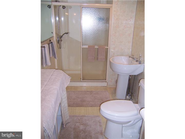 268 South Devon Avenue Wayne, PA 19087 - Photo 22 of 25 Bathroom