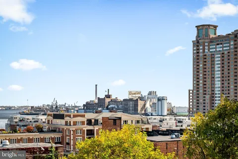 a view of a yard with trees